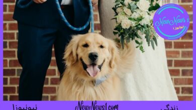 سگ ها عضو مهمی از مراسم ازدواج صاحبانشان هستند!